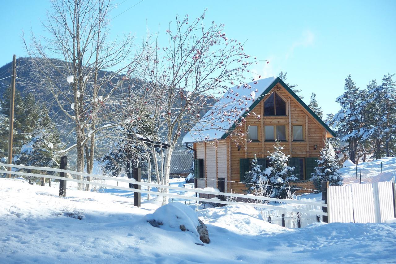 Kuca U Borju - House In Pines Lejlighed Žabljak Eksteriør billede