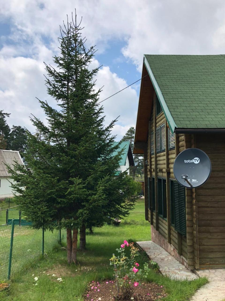 Kuca U Borju - House In Pines Lejlighed Žabljak Eksteriør billede