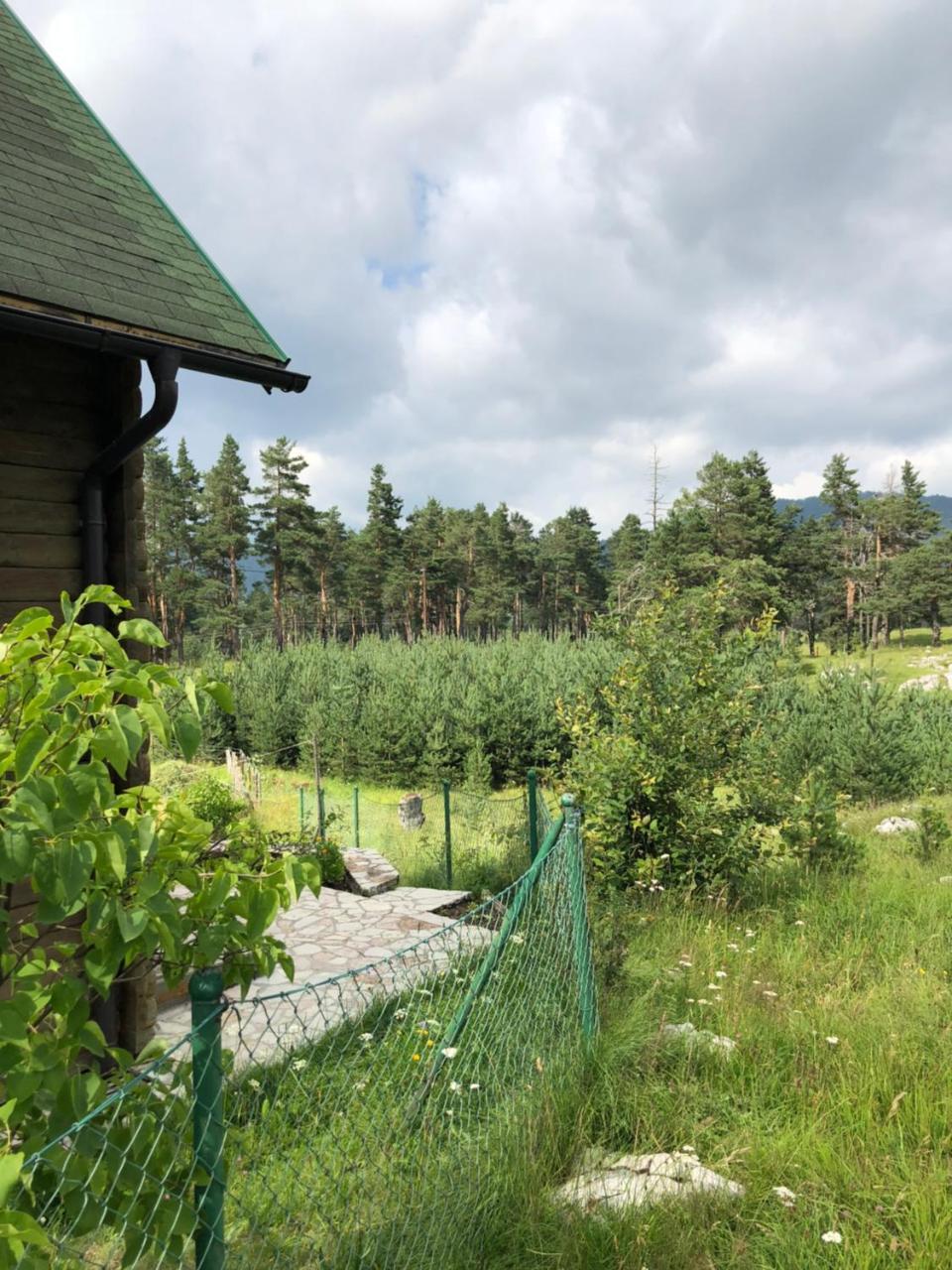 Kuca U Borju - House In Pines Lejlighed Žabljak Eksteriør billede