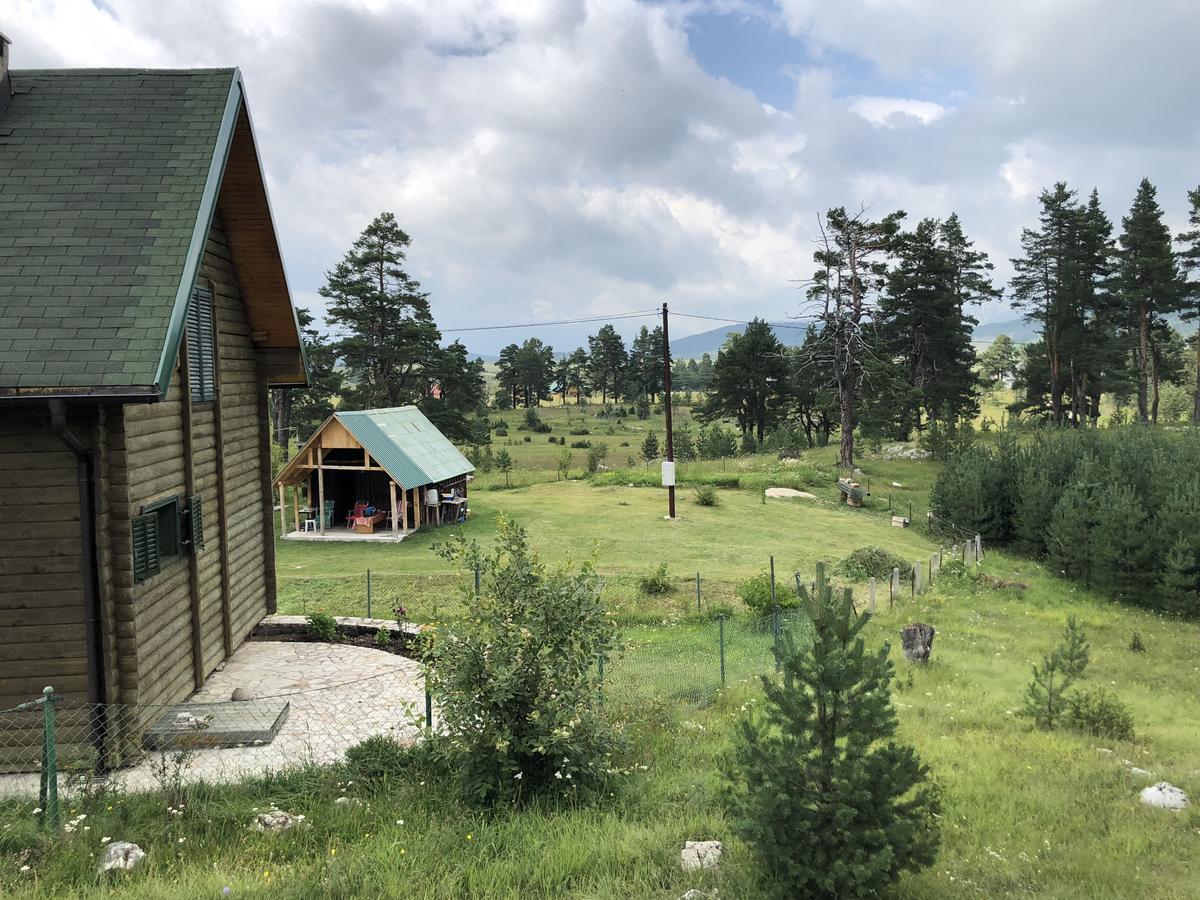 Kuca U Borju - House In Pines Lejlighed Žabljak Eksteriør billede