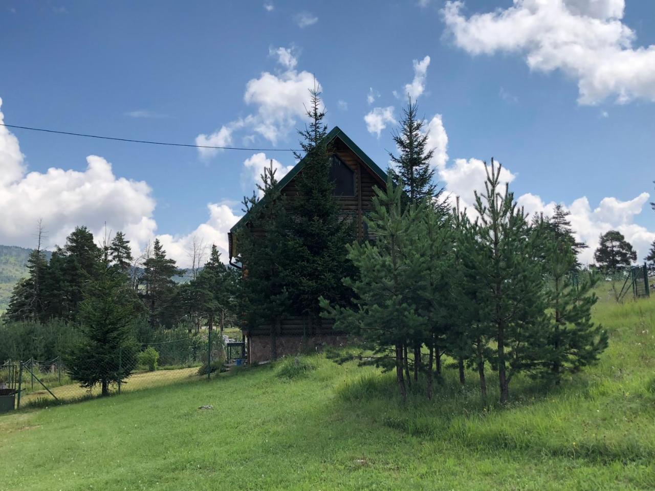 Kuca U Borju - House In Pines Lejlighed Žabljak Eksteriør billede