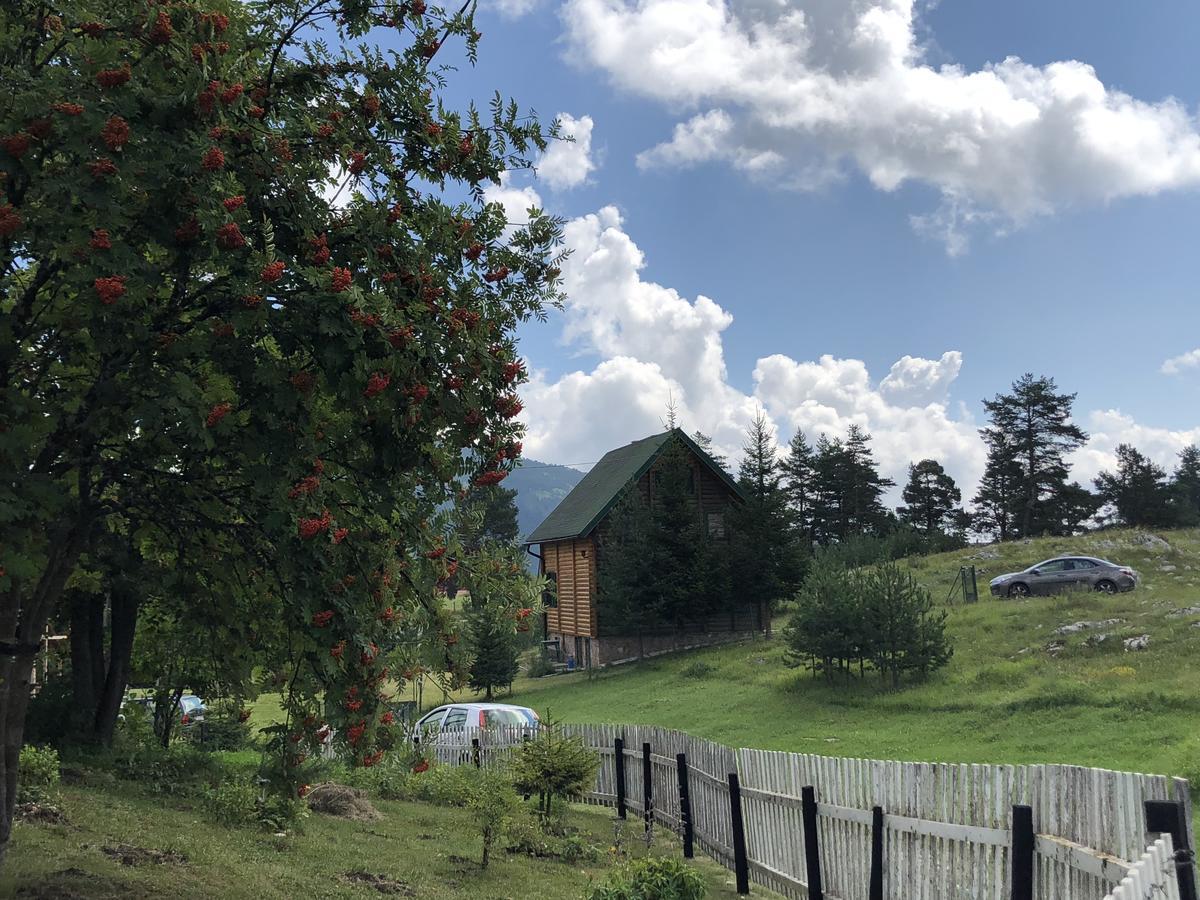 Kuca U Borju - House In Pines Lejlighed Žabljak Eksteriør billede